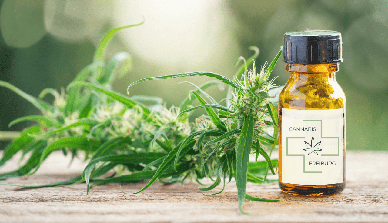 Cannabis-Extrakt in einer Pipettenflasche, umgeben von Cannabis-Blättern.