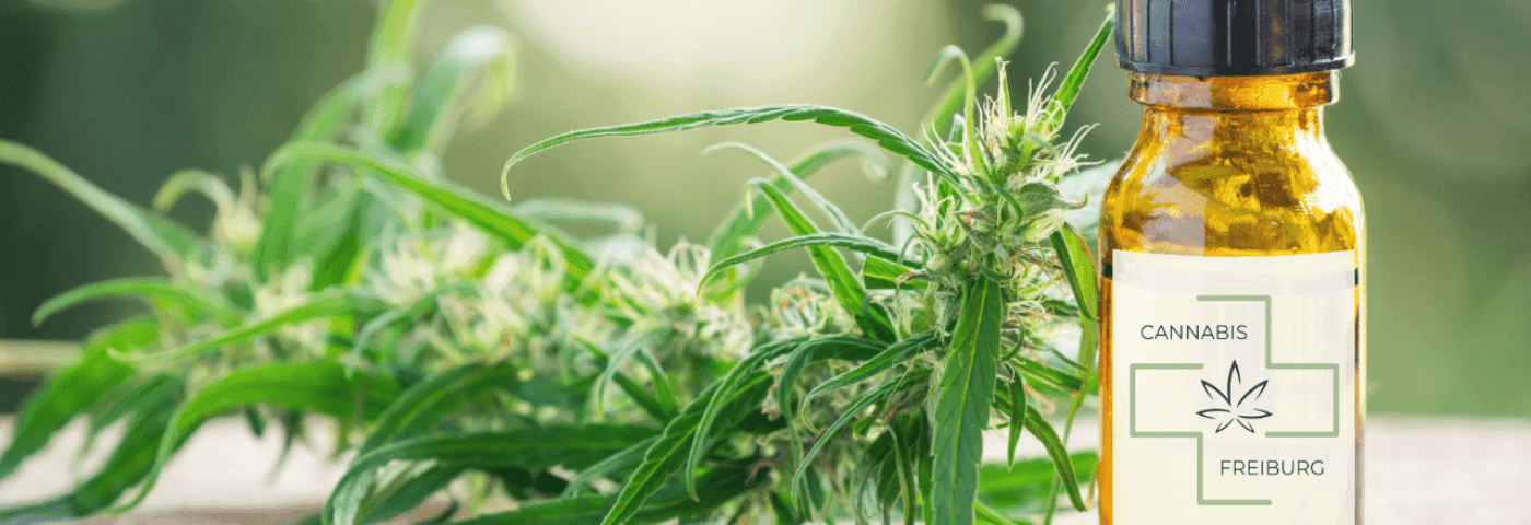 Cannabis-Extrakt in einer Pipettenflasche, umgeben von Cannabis-Blättern.